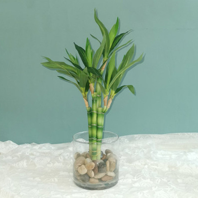 Echeveria Succulent - 新しい40cm人工ラッキーバンブー多肉植物フェイクプラントフラワー、緑の鉢植え、庭、屋外ダイニングテーブル、水槽、家の装飾に。