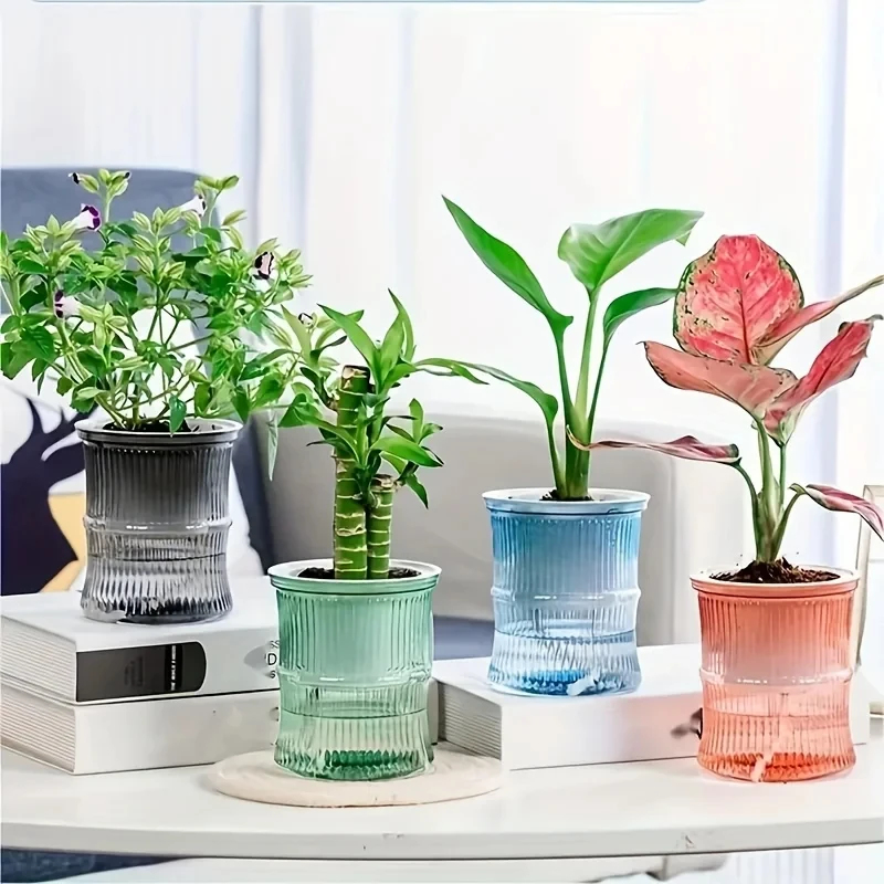 Aloe Vera Pot - 透明な二層式自動給水プランター、手間のかからない水耕栽培フラワーポット、オフィス用プラスチック製植物容器
