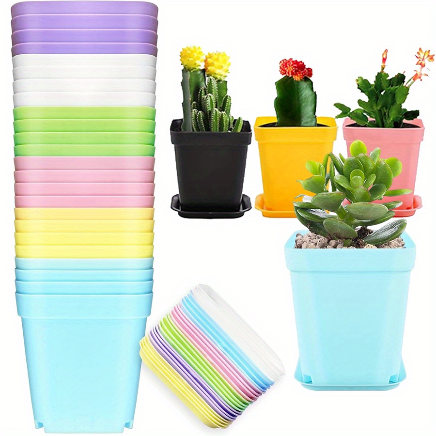 Aloe Vera Pot - 12個 7cm プラスチック製スクエアポット トレイ付き 排水穴付き マルチカラー