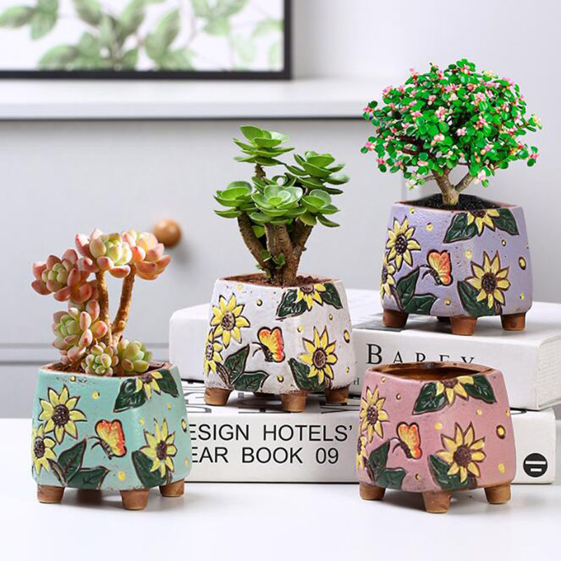 韓国スタイルひまわり柄多肉植物ポット通気性花瓶穴付きかわいい - Echeveria Succulent のレビューと価格