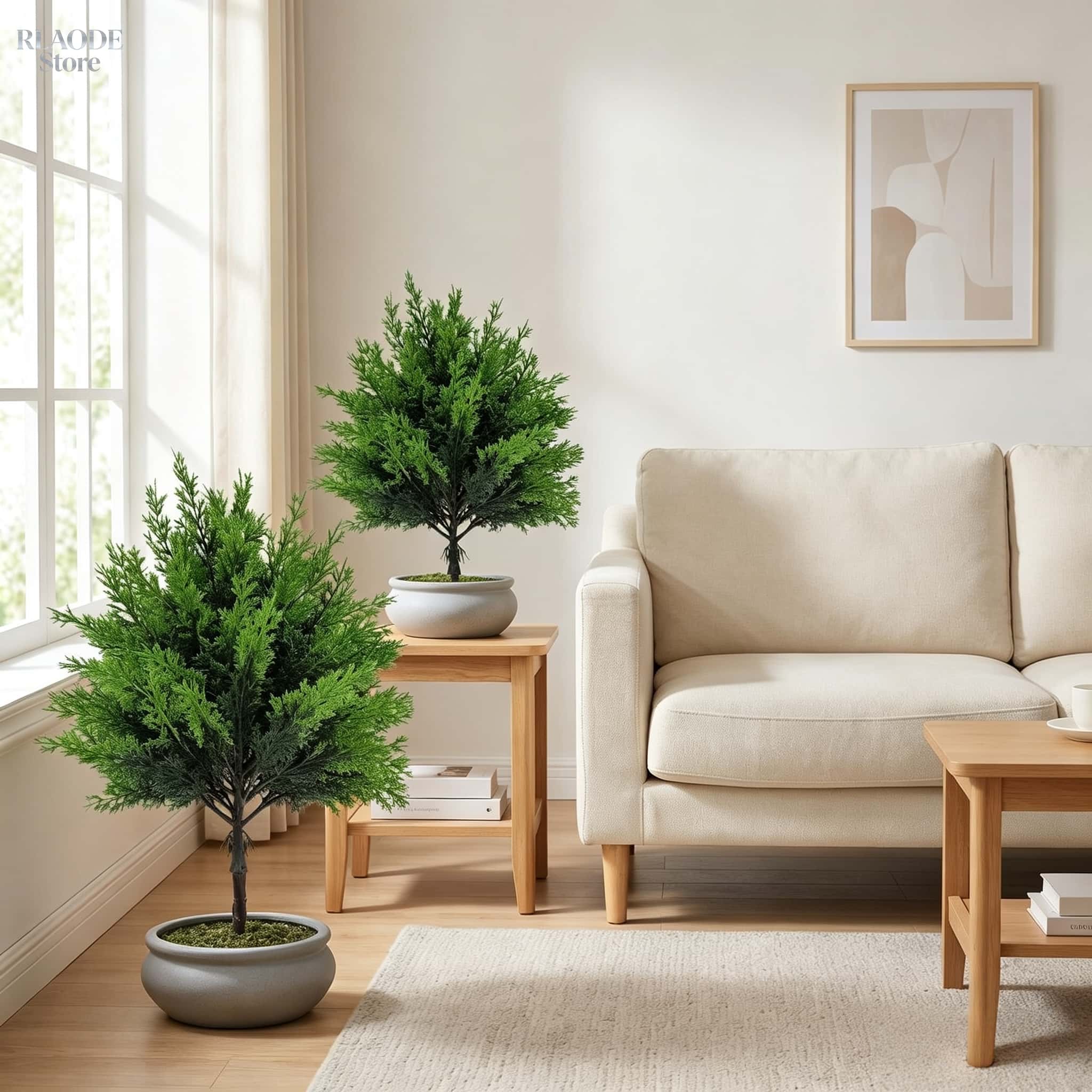 屋外用人工緑化物2個 - 高品質の大型球形松の木、地面用杭付 - Dracaena Marginata のレビューと価格