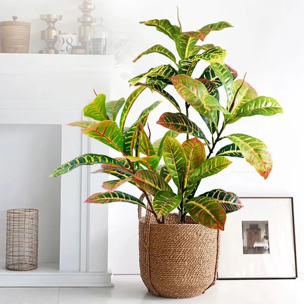 21-120cmの人工植物、偽物のガジュマルの木、熱帯ガジュ - Dracaena Marginata のレビューと価格