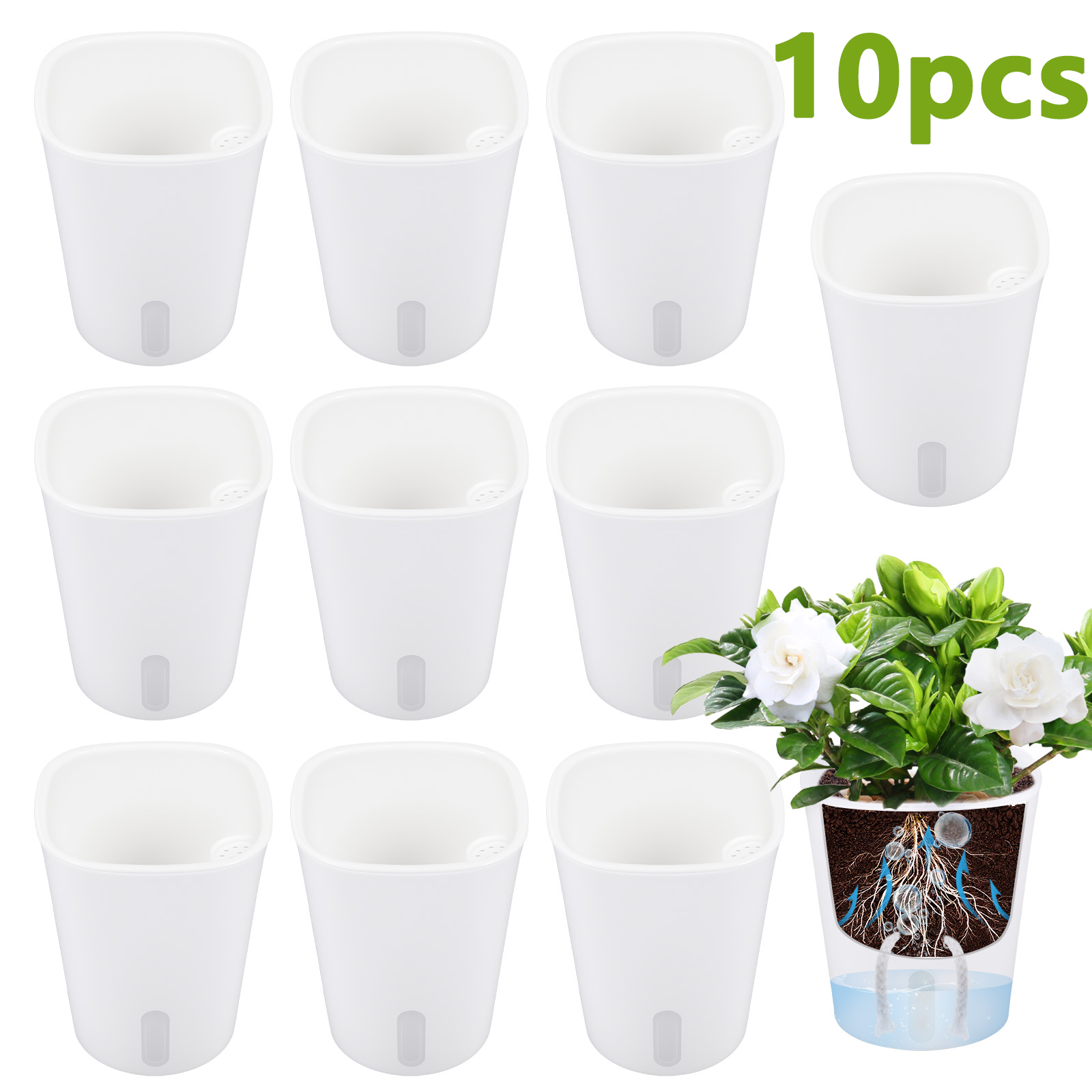 10 個自己給水プラスチック植木鉢水耕栽培植物ポット綿ロープ - Aloe Vera Pot のレビューと価格
