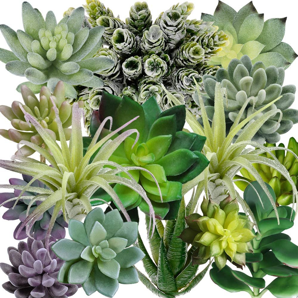 15個入りアソート人工多肉植物、鉢なしフェイクサボテン、テク - Echeveria Succulent のレビューと価格