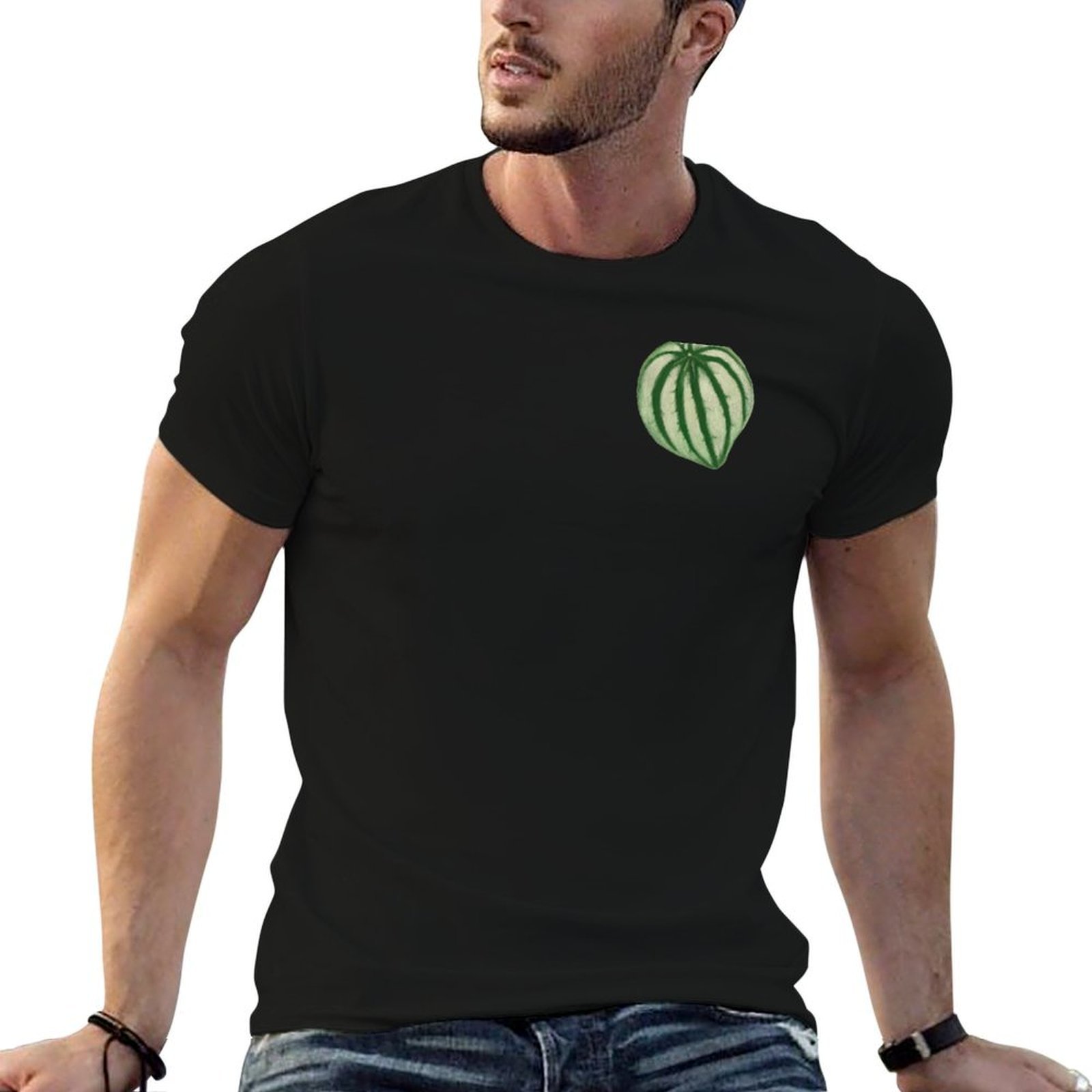ウォーターメロン ペペロミア Tシャツ ドライフィット ラン - Peperomia Watermelon のレビューと価格