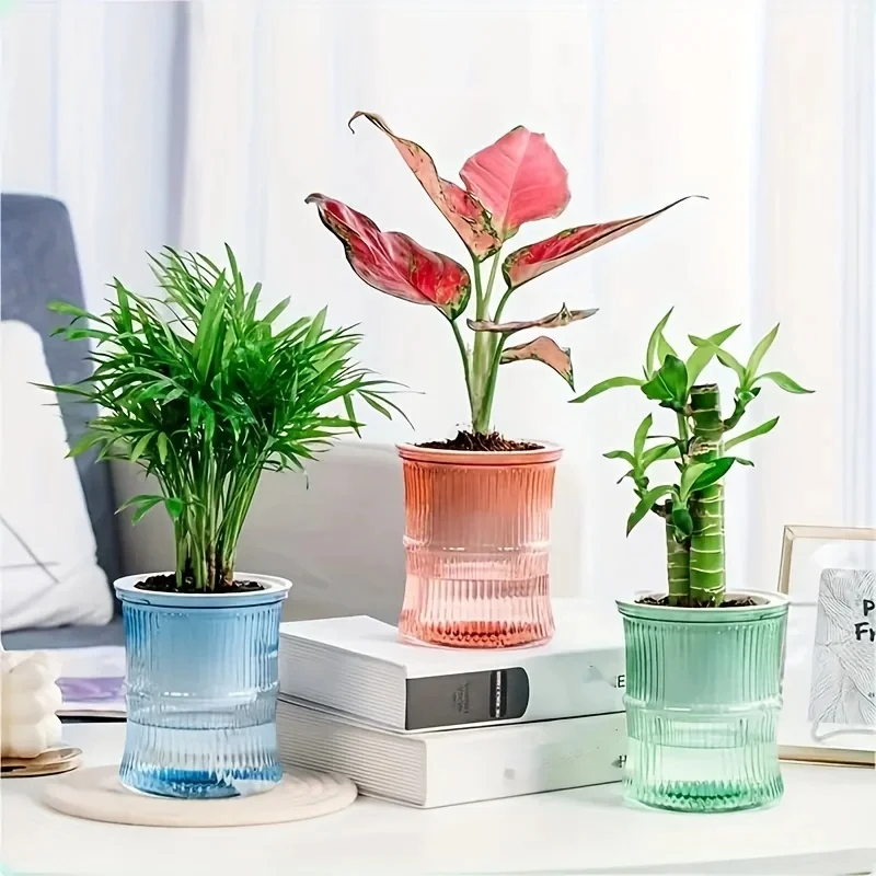 透明な二層式自動給水プランター、手間のかからない水耕栽培フラ - Aloe Vera Pot のレビューと価格