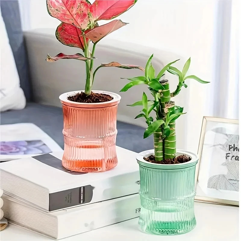 透明な二層式自動給水プランター、手間のかからない水耕栽培フラ - Aloe Vera Pot のレビューと価格