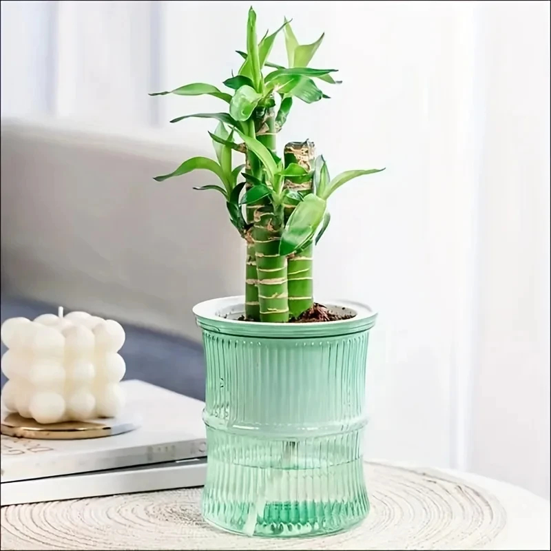 透明な二層式自動給水プランター、手間のかからない水耕栽培フラ - Aloe Vera Pot のレビューと価格