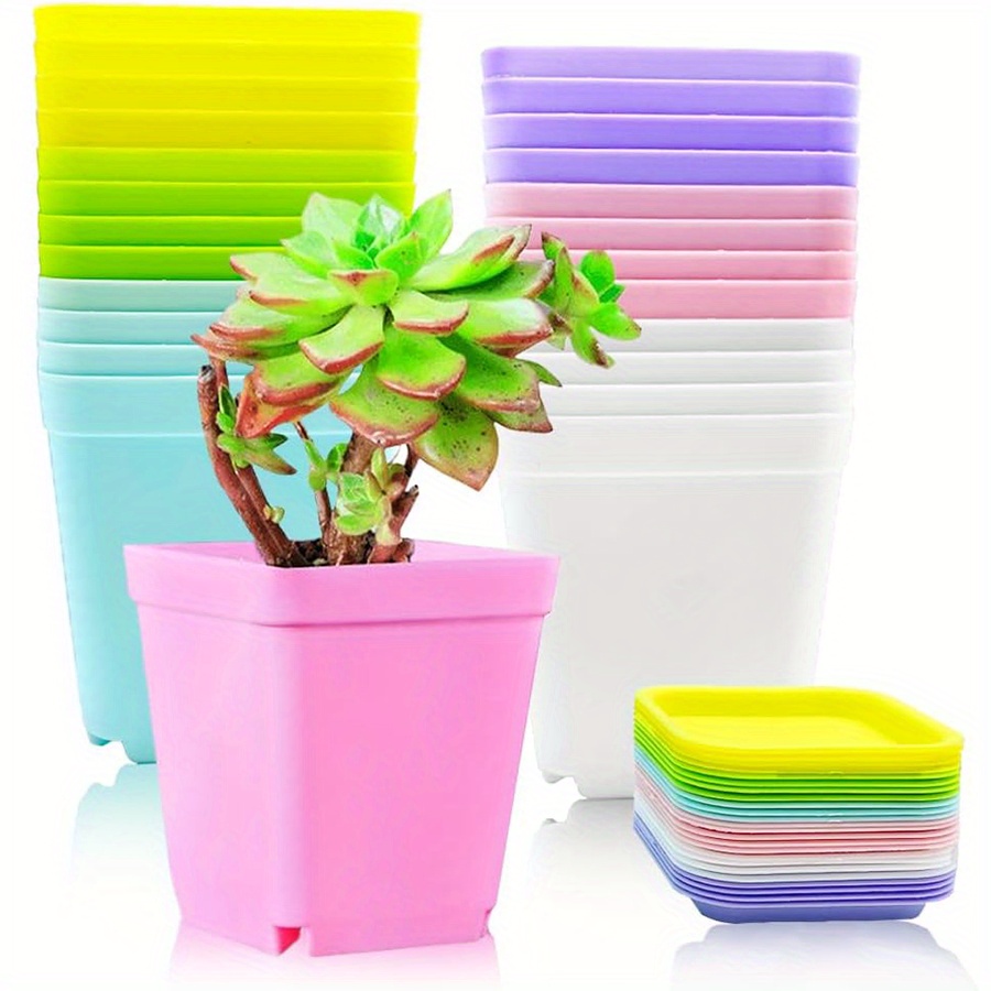 12個 7cm プラスチック製スクエアポット トレイ付き 排 - Aloe Vera Pot のレビューと価格