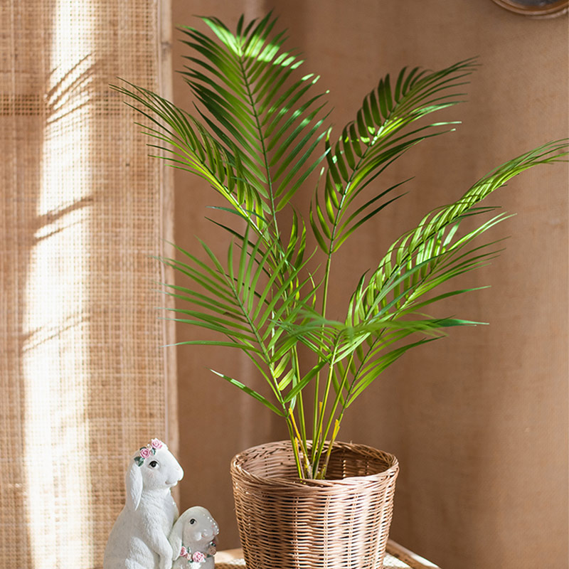 125cm大型人工ヤシの木、トロピカルプランツ、プラスチック - Dracaena Marginata のレビューと価格