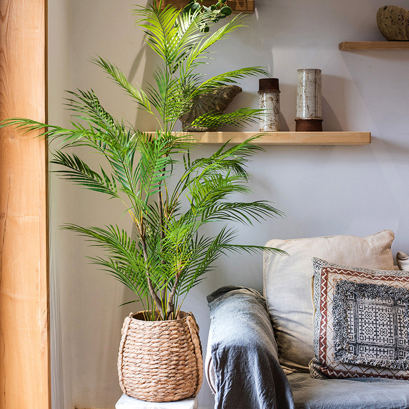 125cm大型人工ヤシの木、トロピカルプランツ、プラスチック - Dracaena Marginata のレビューと価格