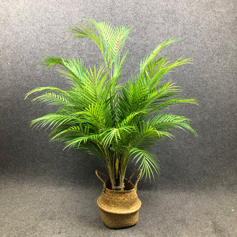125cm大型人工ヤシの木、トロピカルプランツ、プラスチック - Dracaena Marginata のレビューと価格
